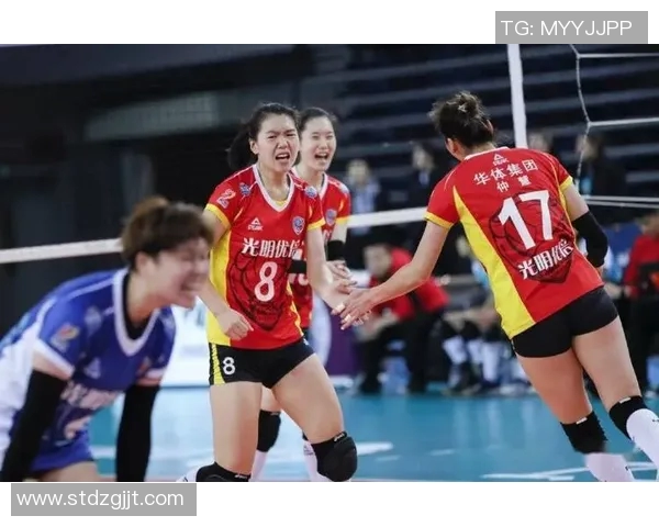 排球实力榜单更新北京排球队荣登第五名展现强劲实力